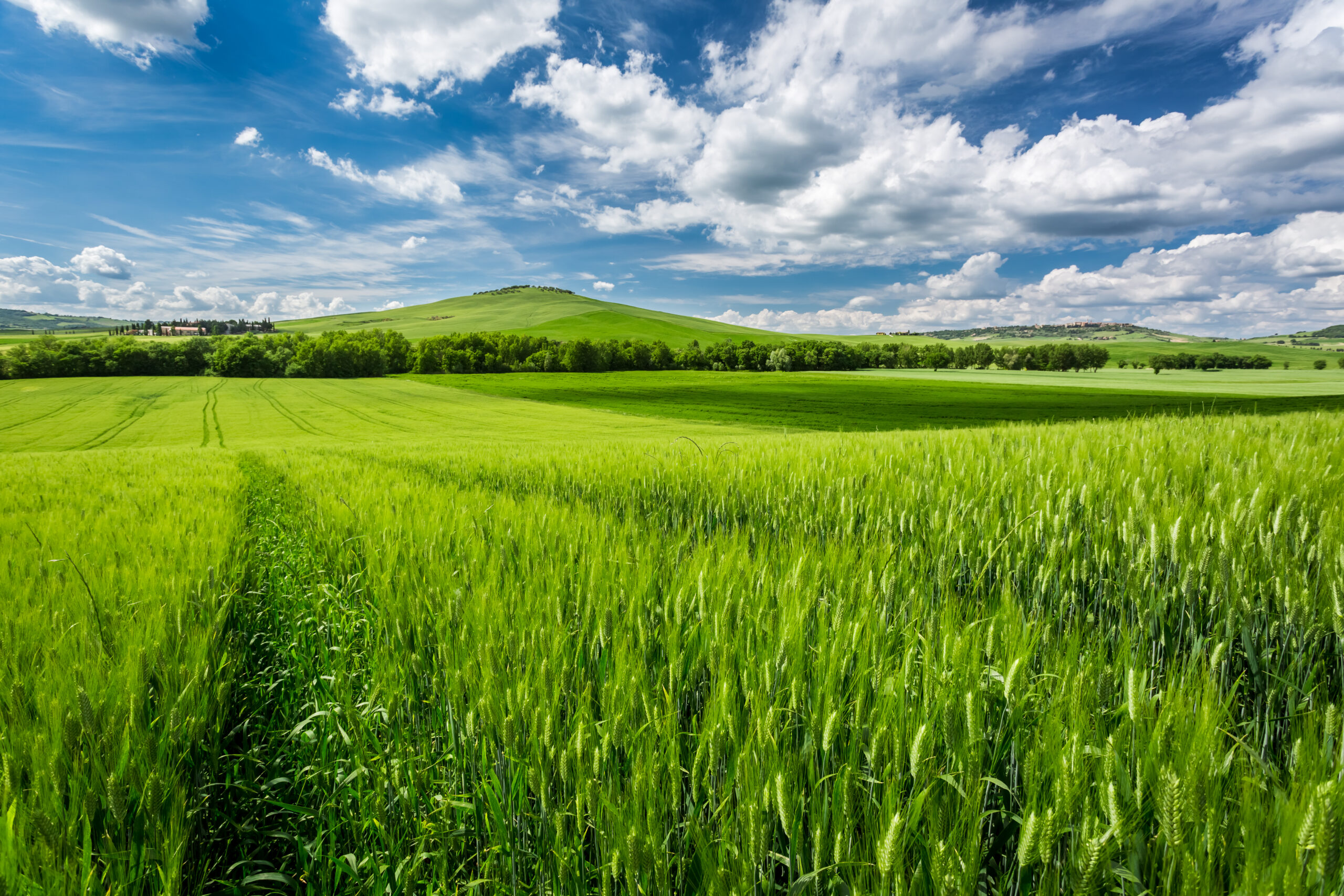 Beautiful view of green fields and meadows at sunset in Tuscany
